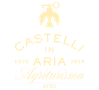 Castelli In Aria