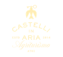 Castelli In Aria